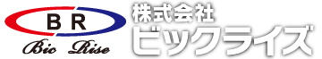 株式会社ビックライズ