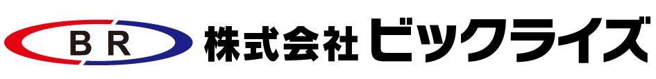 株式会社ビックライズ